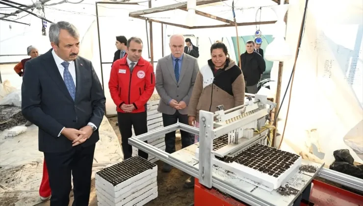 Edirne Valisi Sezer üreticileri ziyaret etti