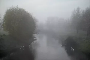 Edirne’de yoğun sis etkili oluyor