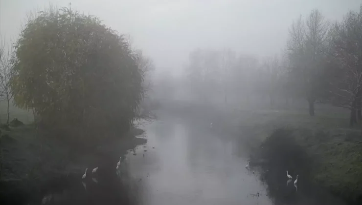 Edirne’de yoğun sis etkili oluyor