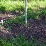 ‘En iyi su hasadı deposu; toprak’