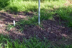 ‘En iyi su hasadı deposu; toprak’