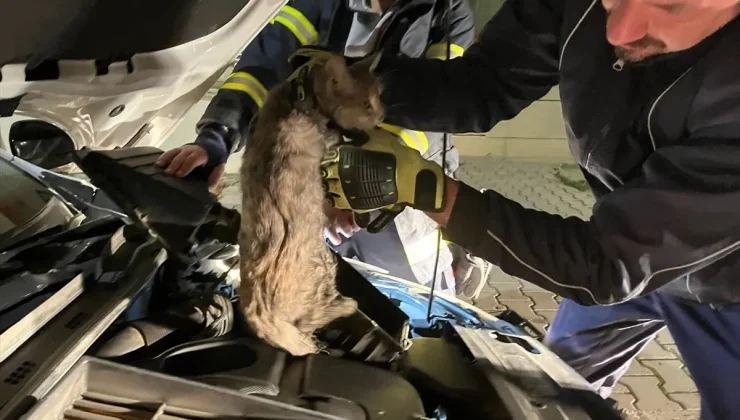 Erzincan’da aracın motor kısmına sıkışan kediyi itfaiye kurtardı