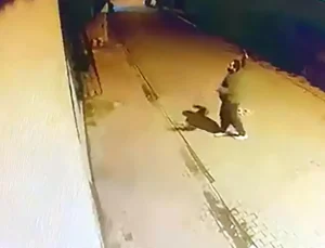 Evin pencerlerine taş atıp, camlarını kırdı