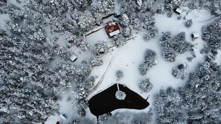 Gümüşhane’de Kent Ormanı, kar yağışıyla beyaza büründü