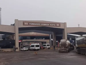 Gürcistan-Türkiye arasında geçişlerde ‘zorunlu’ sağlık sigortası