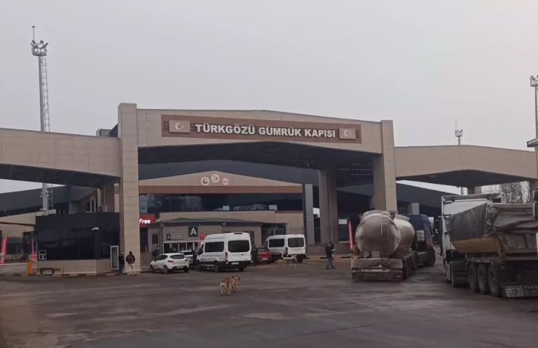 Gürcistan-Türkiye arasında geçişlerde ‘zorunlu’ sağlık sigortası