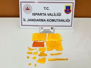 Isparta’da uyuşturucu operasyonunda yakalanan zanlı tutuklandı