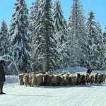 Karla kaplı yaylalarda dönüş yolculuğu