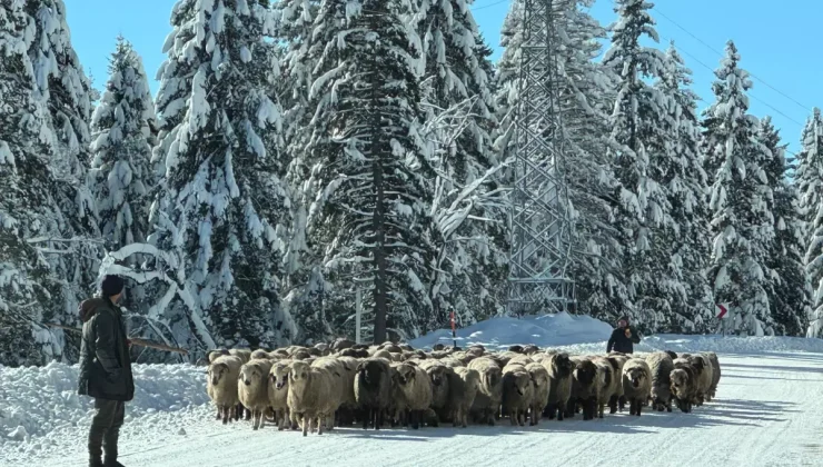 Karla kaplı yaylalarda dönüş yolculuğu