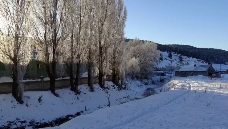 Kars, Ardahan ve Ağrı’da dondurucu soğuklar etkisini sürdürüyor