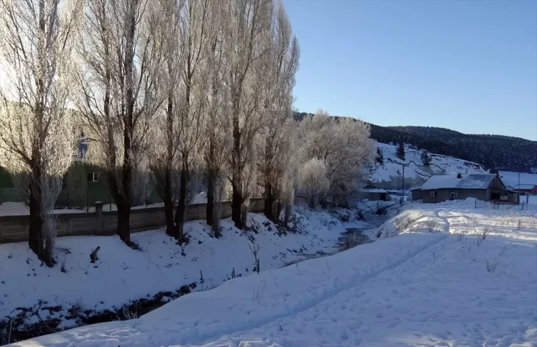 Kars, Ardahan ve Ağrı’da dondurucu soğuklar etkisini sürdürüyor