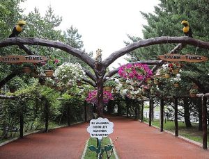 Keçiören’de Modern Serada Üretilen Çiçekler İlçeyi Süslüyor