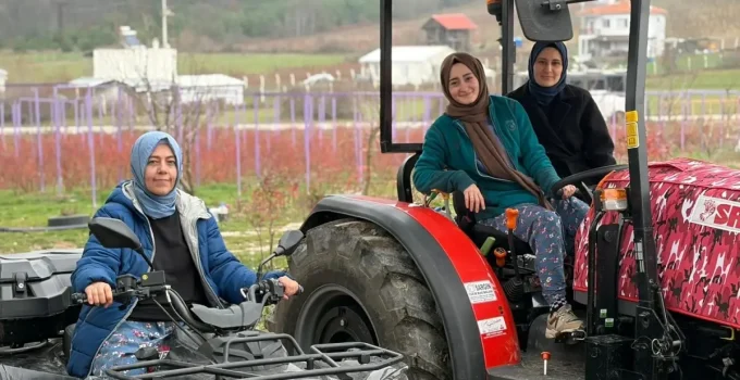 Kentten kırsala dönüp yaban mersini yetiştiren kadınlar, hemcinslerinin de bütçelerine katkı sağlıyor