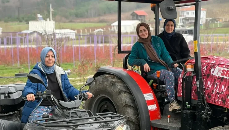 Kentten kırsala dönüp yaban mersini yetiştiren kadınlar, hemcinslerinin de bütçelerine katkı sağlıyor