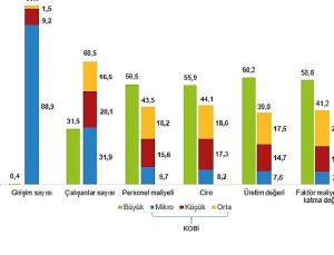 Küçük ve Orta Büyüklükteki Girişim İstatistikleri, 2024