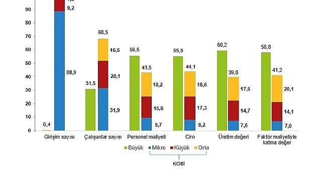 Küçük ve Orta Büyüklükteki Girişim İstatistikleri, 2024