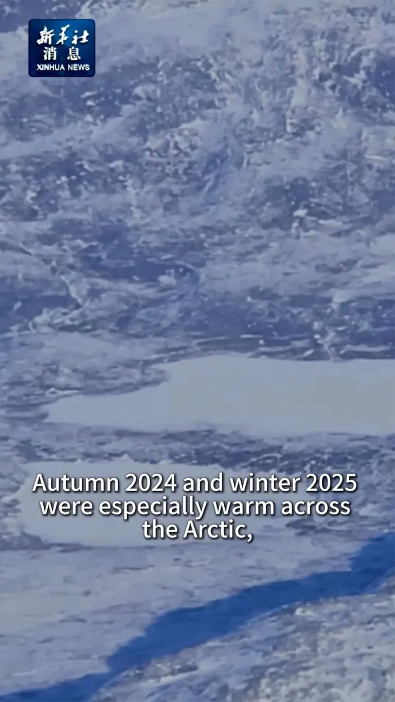 Kuzey Kutbu’ndaki Yüzey Hava Sıcaklıkları 1900’den Bu Yana En Yüksek Seviyeye Ulaştı