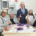 Mali müşavir kurduğu tesiste topraksız safran üretimi yapıyor