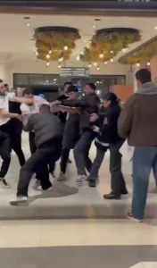 Maltepe’de AVM’de çıkan kavga kamerada