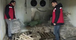 Manisa’da 4 Milyon Lira Değerinde Bozulmuş Kokoreç Ele Geçirildi