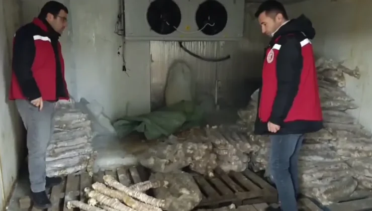 Manisa’da 4 Milyon Lira Değerinde Bozulmuş Kokoreç Ele Geçirildi