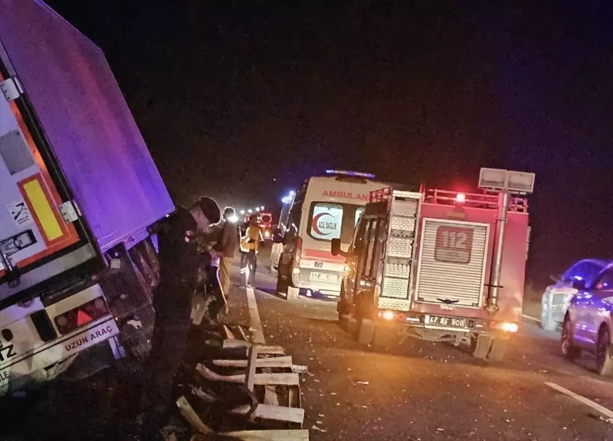 Mardin’de bariyerlere çarpan tırın sürücüsü yaralandı