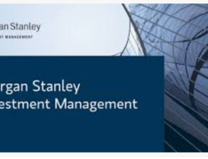 Morgan Stanley Varlık Yönetimi: 2026 Boğa Piyasasını Dizginler mi?