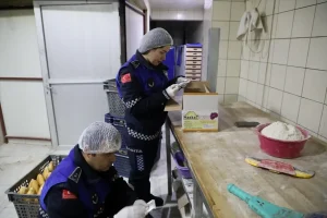 Muğla’da gıda denetimi yapıldı