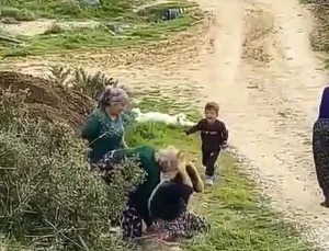 Oğlunun gözü önünde kuzenleri tarafından darbedildi; o anlar kamerada