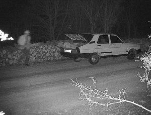 OGM’den kaçak kesimlere karşı 7/24 koruma