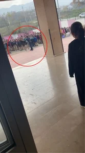 Okul Müdürü Öğrenciyi Yere Savurdu, İnceleme Başlatıldı