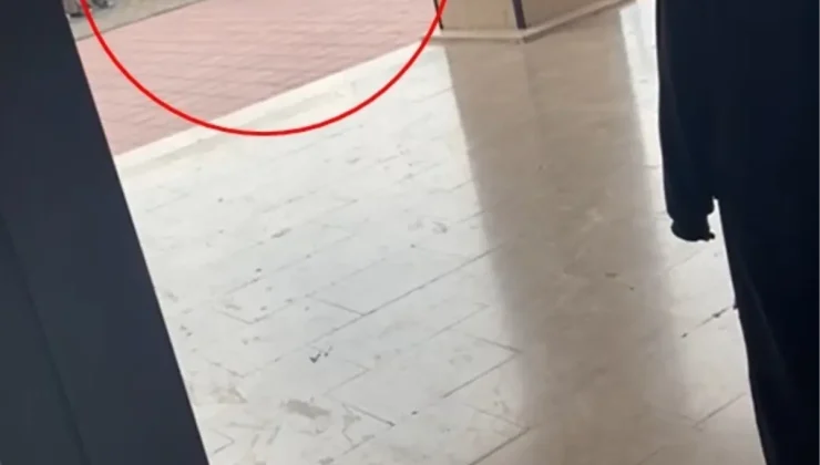 Okul Müdürü Öğrenciyi Yere Savurdu, İnceleme Başlatıldı