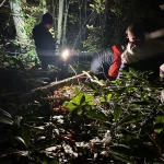 Orman İşçisi Engebeli Araziye Düşerek Yaralandı