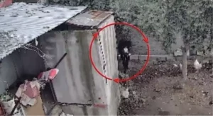 Osmaniye’de kümeslerden tavuk çalan şüpheli tutuklandı; hırsızlık anı kamerada
