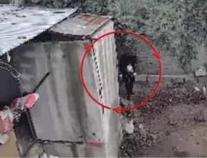 Osmaniye’de kümeslerden tavuk çalan şüpheli tutuklandı; hırsızlık anı kamerada