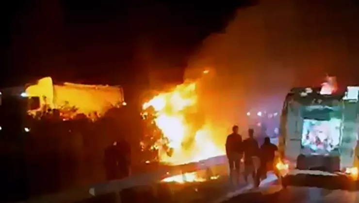 Otoyolda devrilip yanan TIR’daki 2 kişi öldü; alevlerden kaçan anguslar kamerada