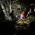 Sakarya’da kesim esnasında üzerine ağaç devrilen orman işçisi yaralandı