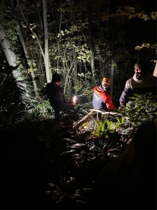 Sakarya’da kesim esnasında üzerine ağaç devrilen orman işçisi yaralandı