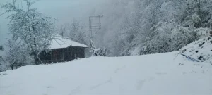 Salıpazarı ilçesi beyaz örtüyle kaplandı