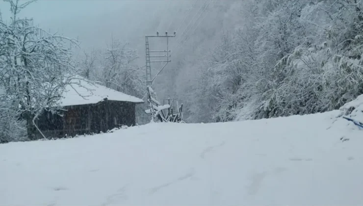 Salıpazarı ilçesi beyaz örtüyle kaplandı