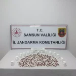 Samsun’da uyuşturucu operasyonunda yakalanan zanlı tutuklandı