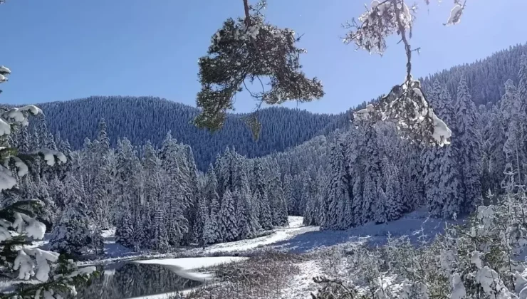 Sarıçiçek Göleti buz tuttu