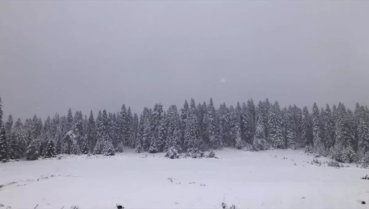Sinop’un yüksek kesimleri beyaza büründü