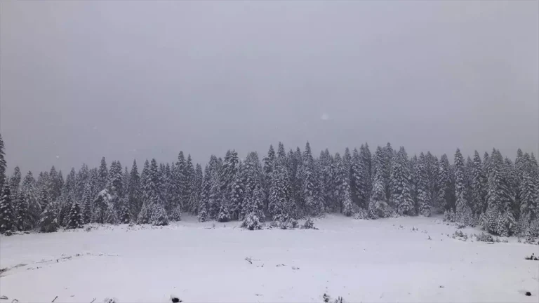 Sinop’un yüksek kesimleri beyaza büründü
