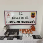 Şırnak’ta kaçakçılık ve asayiş operasyonlarında 69 şüpheli hakkında işlem yapıldı