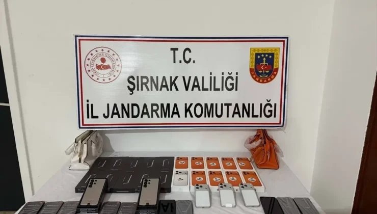 Şırnak’ta kaçakçılık ve asayiş operasyonlarında 69 şüpheli hakkında işlem yapıldı