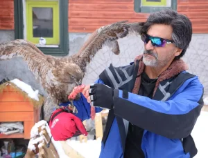 Tedavi edip doğaya bıraktığı kızıl şahin, aylar sonra geri döndü