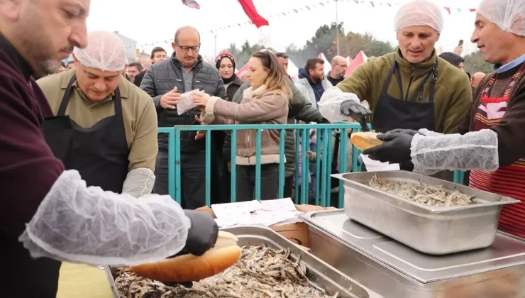 Tekirdağ’da vatandaşlara 3 ton hamsi ikram edildi