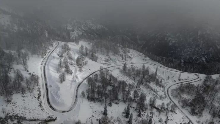 Türkiye’nin biyosfer rezervi alanı Camili Havzası beyaz örtü ile kaplandı