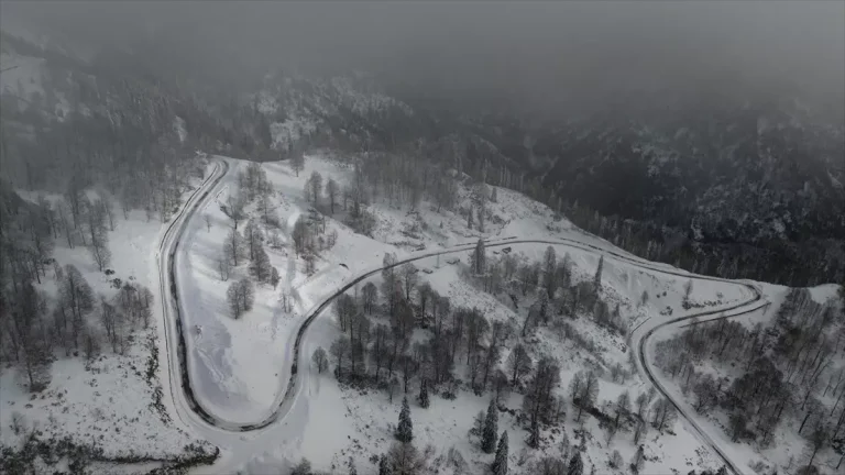 Türkiye’nin biyosfer rezervi alanı Camili Havzası beyaz örtü ile kaplandı
